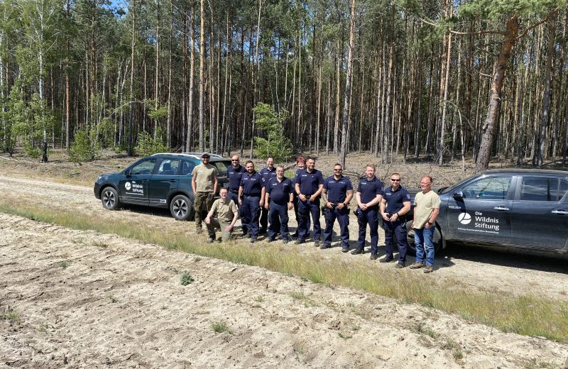 Polizei und Wildnisstiftung im gemeinsamen Einsatz gegen illegale Befahrungen auf den ehemaligen Truppenübungsplätzen Jüterbog und Heidehof